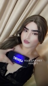 Транс Алматы Транс№489207 Мая Фотография №3747990